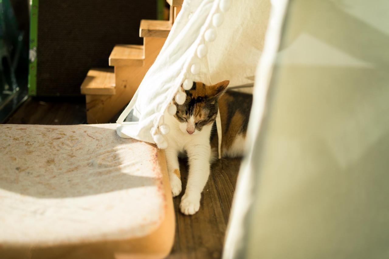 Hello Make Yourself At Home Kenting Eksteriør billede